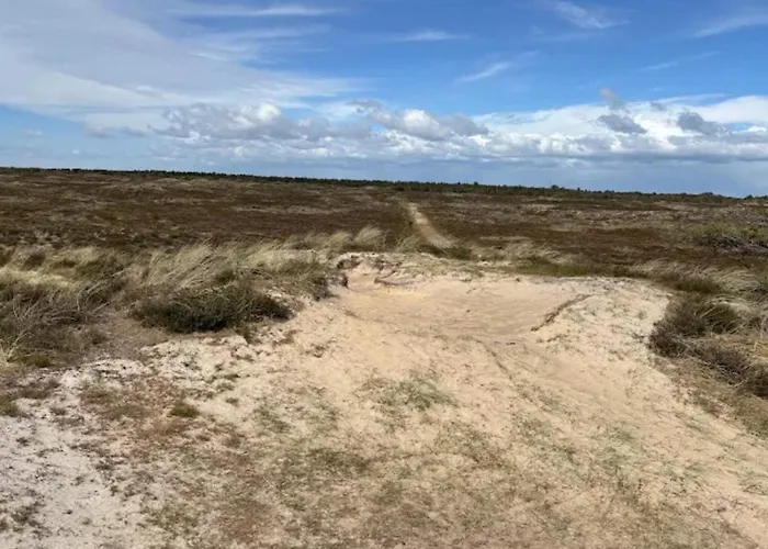 Luxury Retreat With Sauna - By Traum Prázdninový dům Sønderby