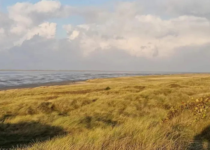 Prázdninový dům Luxury Retreat With Sauna - By Traum