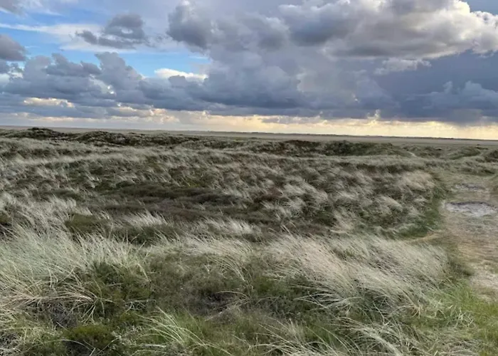 Luxury Retreat With Sauna - By Traum