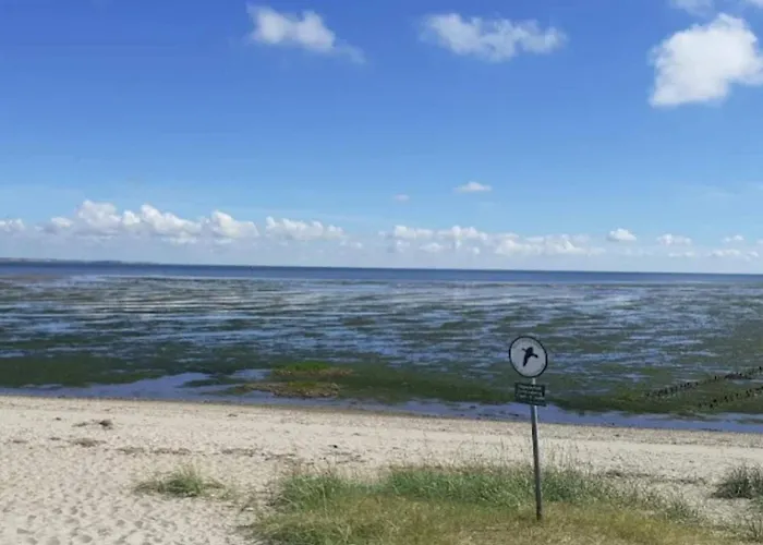 Luxury Retreat With Sauna - By Traum *